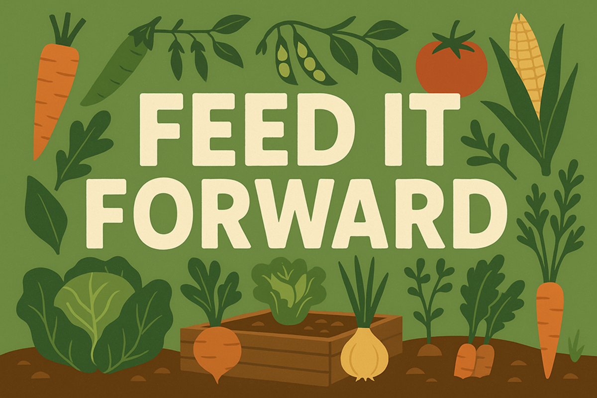 feed-it-forward