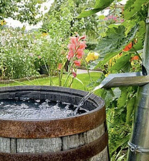 Screenshot2026 02 11at8.40.19pm